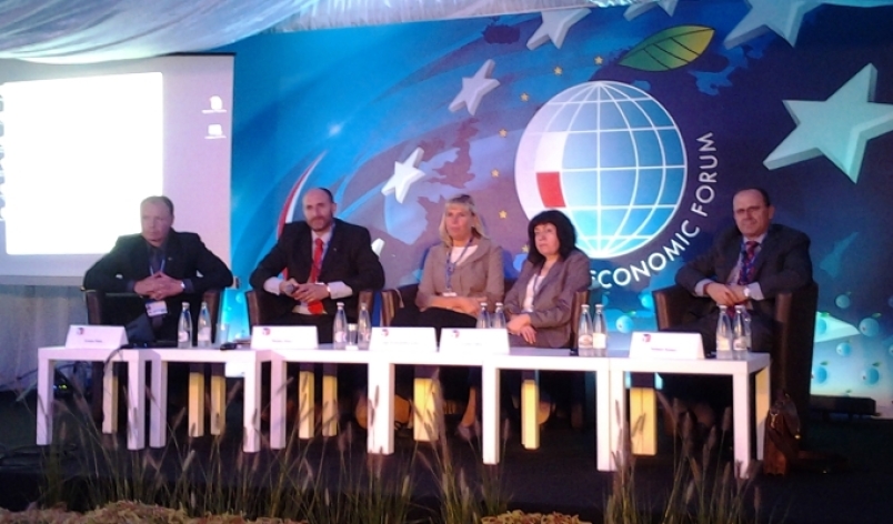 Discussion panel on Energy security at Economic Forum 2014