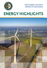 Role of windfarms for national grids - challenges, risks, and chances for energy security - Marju...